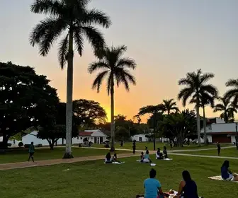 Descubra Atividades Gratuitas em Petrolina: O Que Fazer sem Gastar